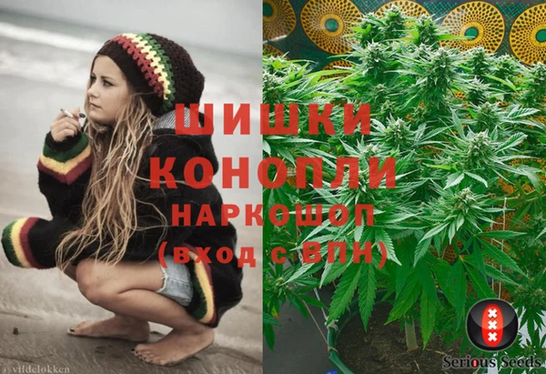 индика Нефтекумск