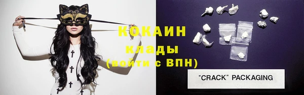 индика Нефтекумск