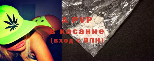 индика Нефтекумск