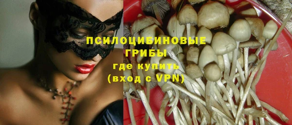 тгк Нея