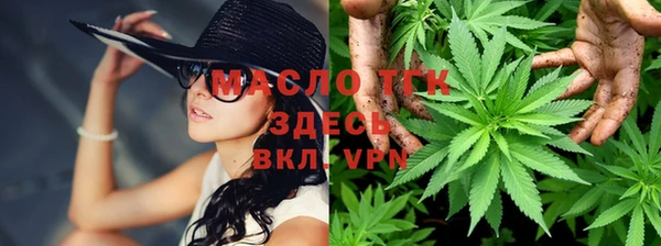 тгк Нея