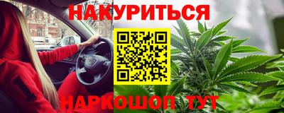 ГАЛЛЮЦИНОГЕННЫЕ ГРИБЫ Кингисепп