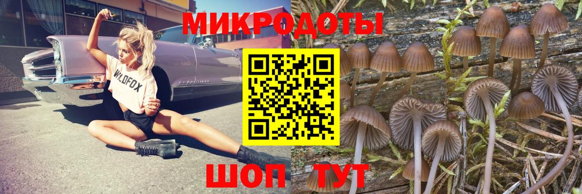 Псилоцибиновые грибы мицелий  Усть-Лабинск 